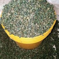 Dehydrated Periwinkle – Full Custard Bucket (Isam)