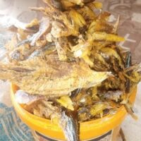 Deboned Bonga Fish – 1.5kg Custard Bucket