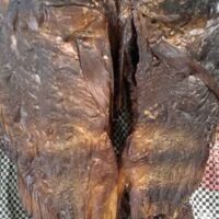 Fresh Red Snipper (Red Snapper) Fish