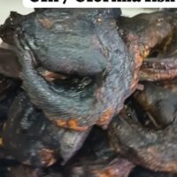 Dry Iyoro / Oforima Fish – 10 Pieces