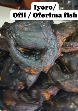 Dry Iyoro / Oforima Fish – 10 Pieces