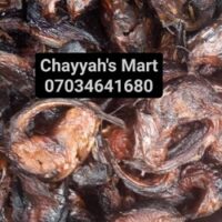 Medium Size Catfish – 20 Pieces